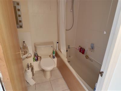 Picture 13